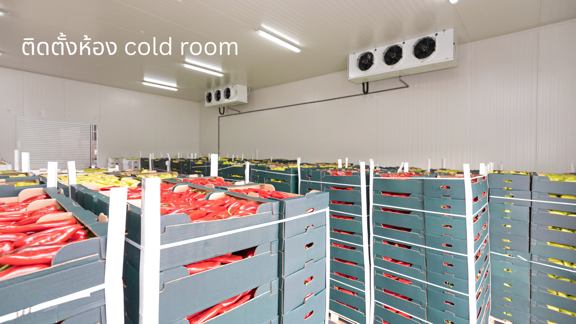 งานติดตั้งห้อง cold room